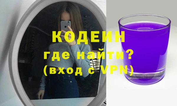 шишки Абаза