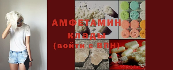 шишки Абаза
