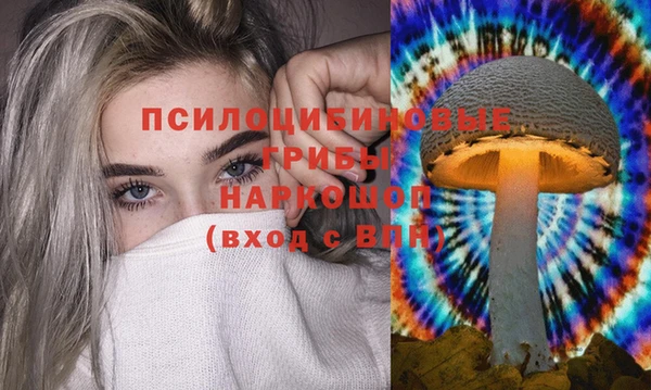 твердый Абинск