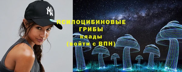 шишки Абаза