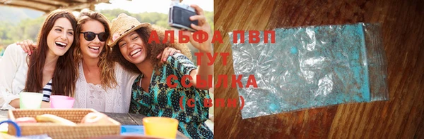 шишки Абаза