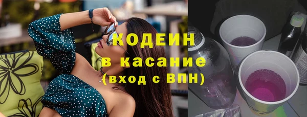 шишки Абаза