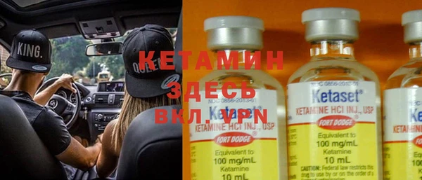 шишки Абаза