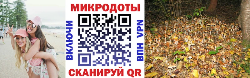 Псилоцибиновые грибы мицелий  Истра 